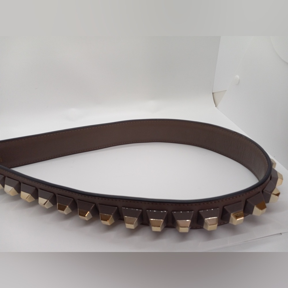 Fendi Roma shoulder strap